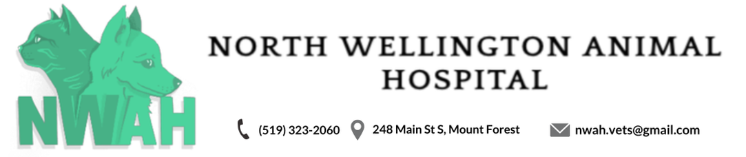 NORTH WELLINGTON ANIMAL HOSPITAL